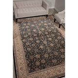 PPL03 Navy-Traditional-Area Rugs Weaver